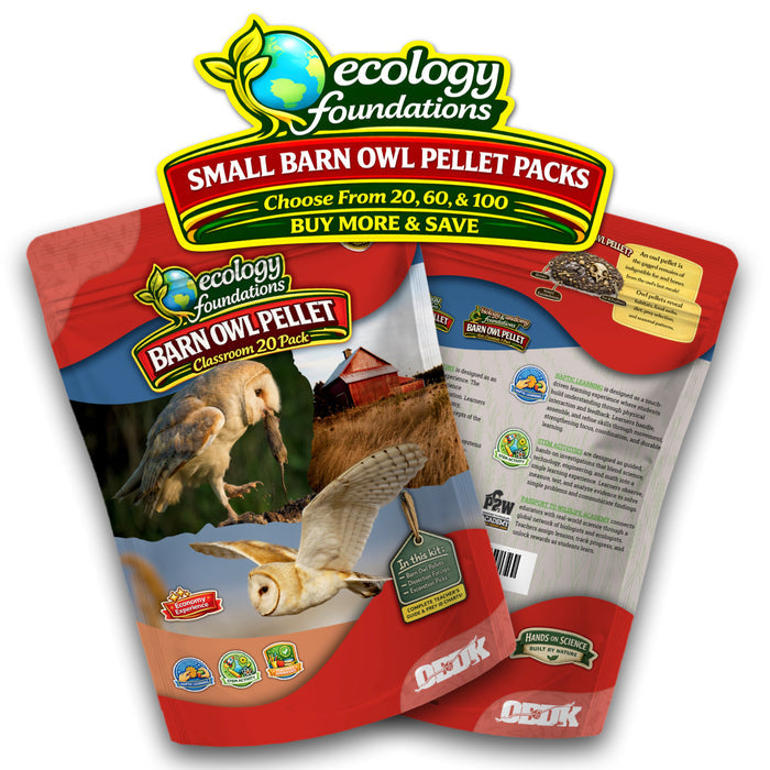100 Small Pellet Pack + Tools + Guide