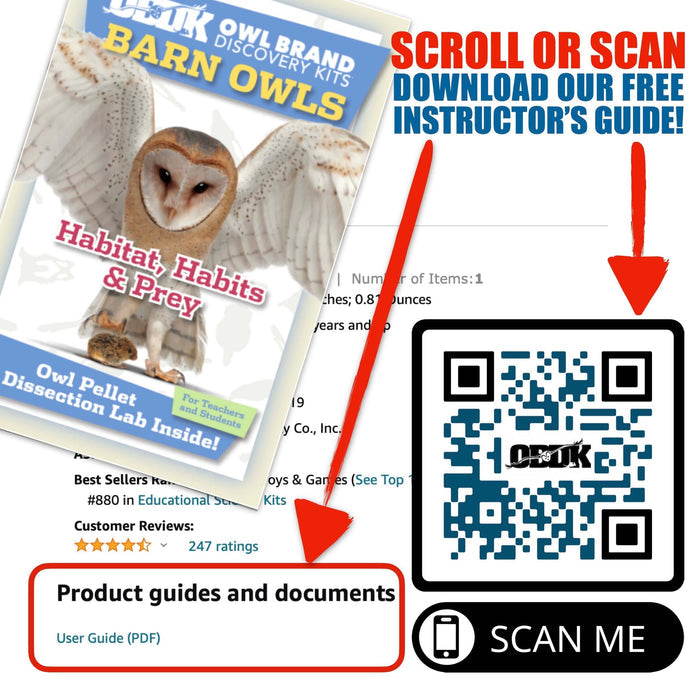 60 Small Pellet Pack + Tools + Guide with owl pellet dissection lab and QR code for instructor's guide download.