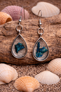 Albacore Shard Earrings