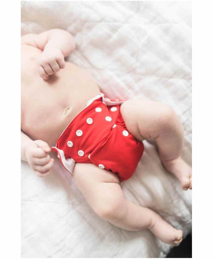 Babymoon Washable & Reusable Cloth Diaper Pocket With Bamboo Charcoal Insert Pack of 6