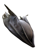 Bloodborne Hunter Hat – Gothic Cosplay Headpiece Replica