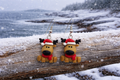 Earrings Reindeer