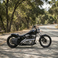 H-D® Pre-2017 Softail Right Side Solo Bag - SHR01