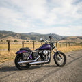 Harley Dyna Right Side Solo Bag - (Model DR032)