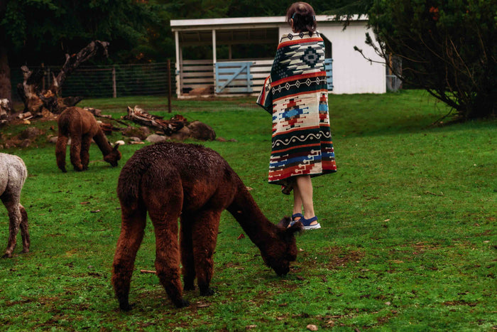 Inca Jungle - Alpaca Wool Blanket - Enchanted Farms