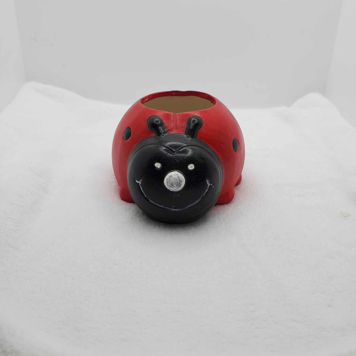 Lady Bug Plant Pot Hand Painted