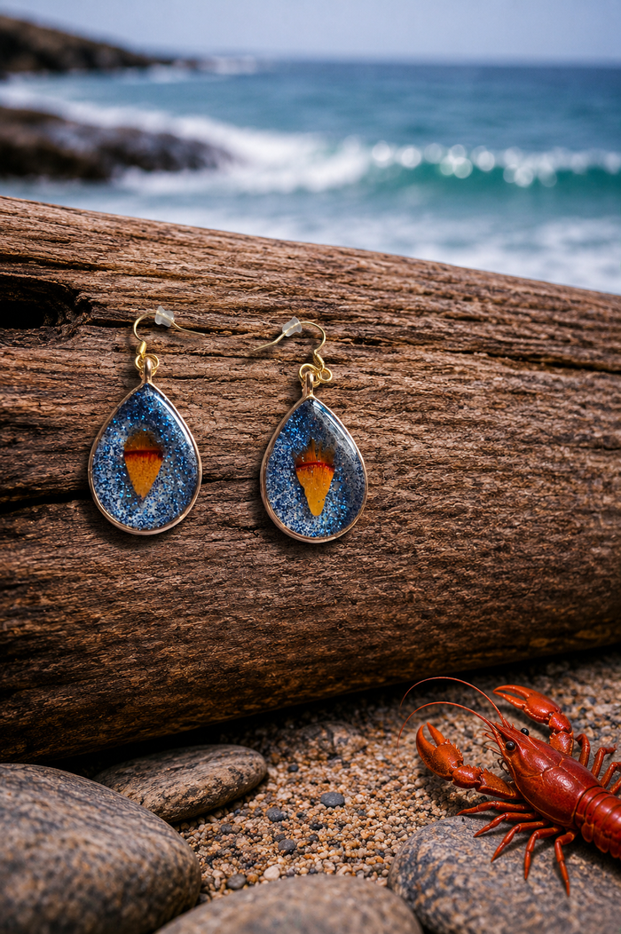 Lobster Notch Earrings