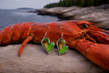 Lobster Notch Earrings