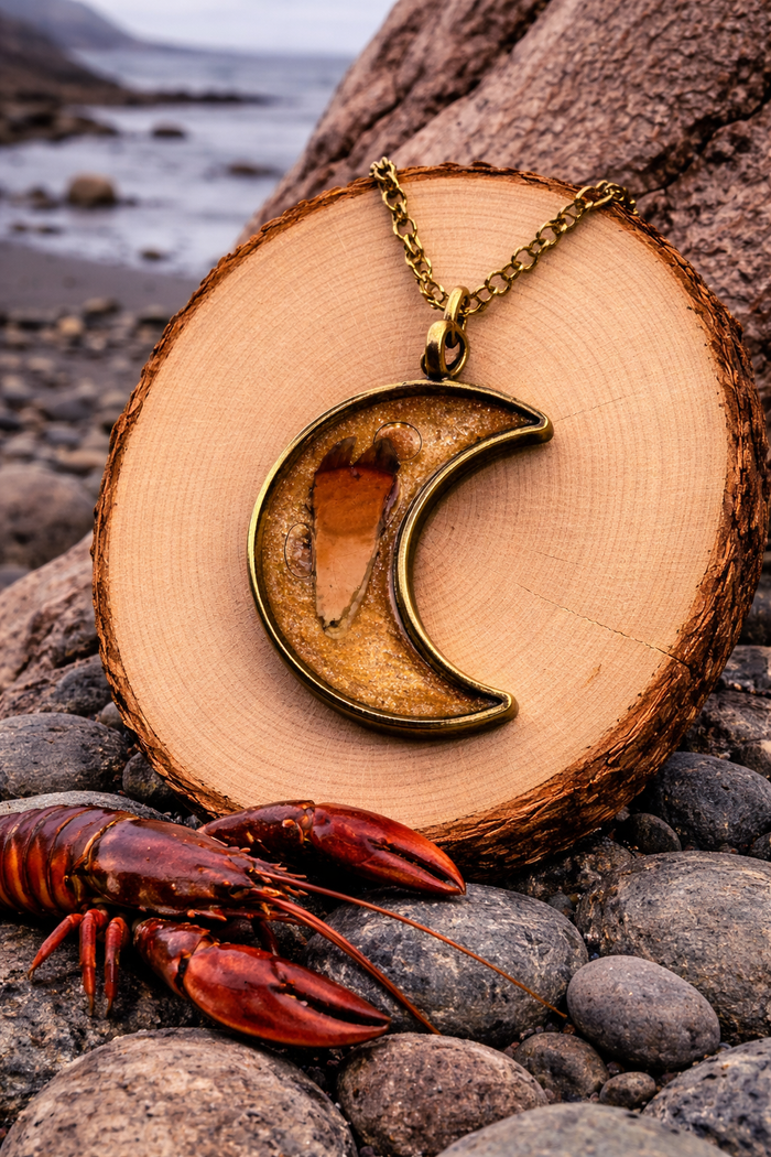 Lobster Notch Necklace moon