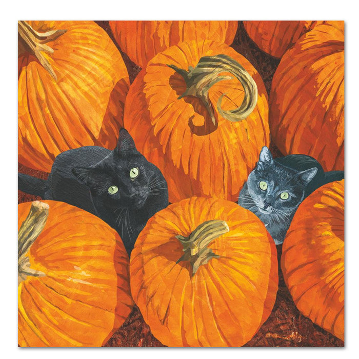 Pumpkin Patch Cats Paper Luncheon Napkins