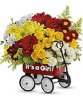 Teleflora Baby's Wow Wagon - Girl