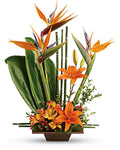 Teleflora Exotic Grace Bouquet