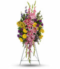 Teleflora Rainbow Of Remembrance Spray