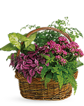 Teleflora Secret Garden Basket