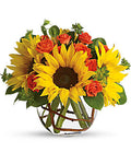Teleflora Sunny Sunflowers