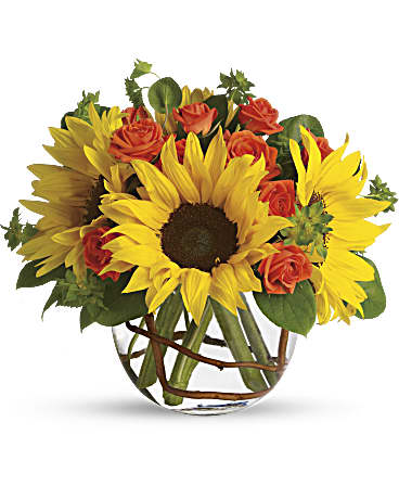 Teleflora Sunny Sunflowers