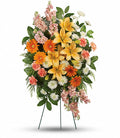 Teleflora Treasured Lilies Spray