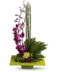 Teleflora Zen Artistry