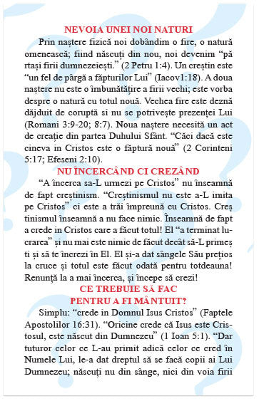 The Big Question (Romanian)
