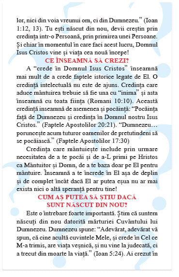 The Big Question (Romanian)